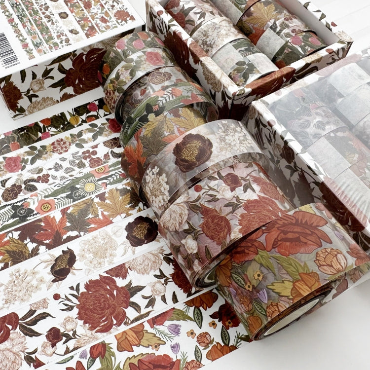 8rolls /Box Ancient Style Transparent PET Tape Set for Journaling 3cm x 2+2cm x 2+1.5cm x 4