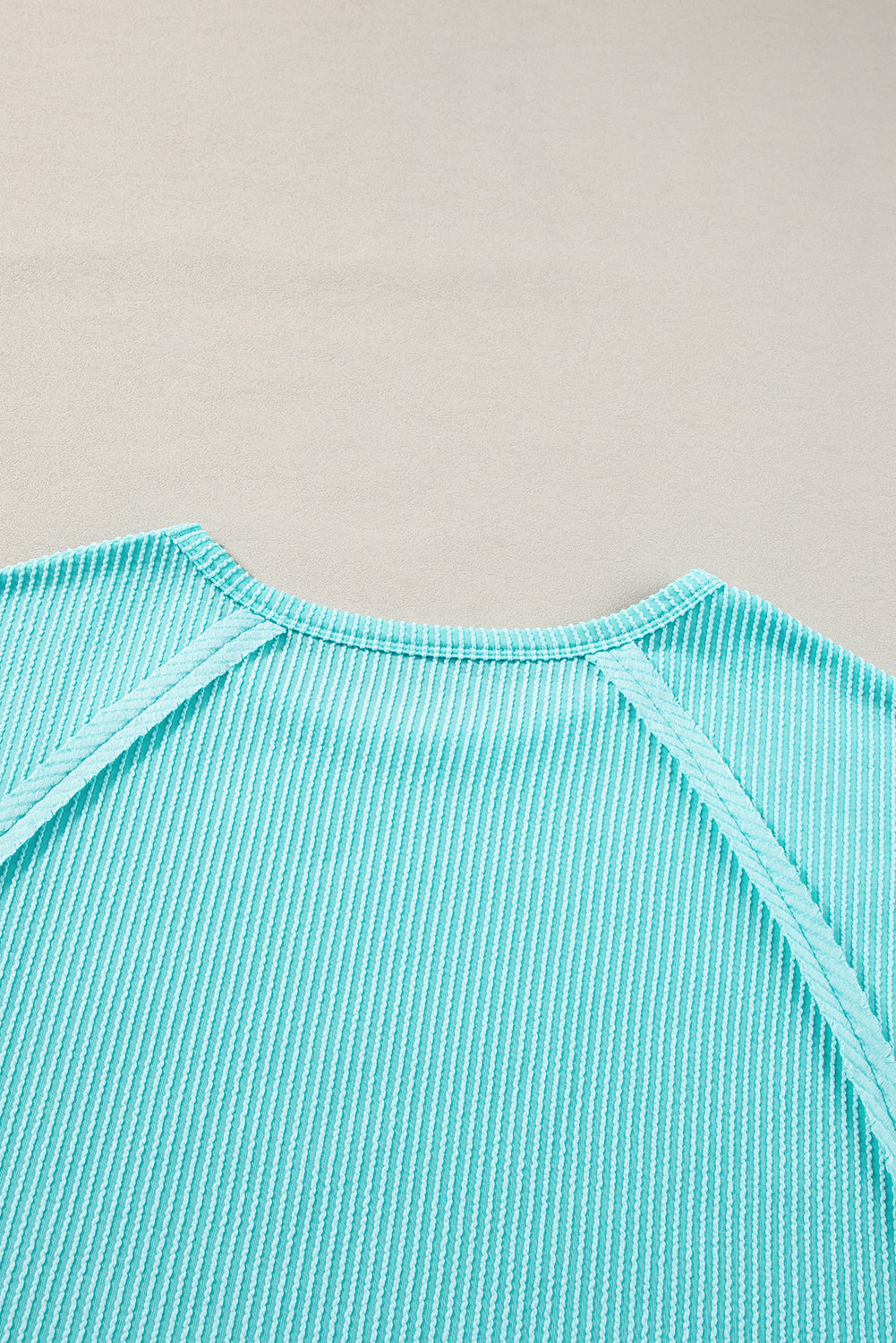 Light Blue Casual Ribbed Exposed Seam Plus Size T Shirt