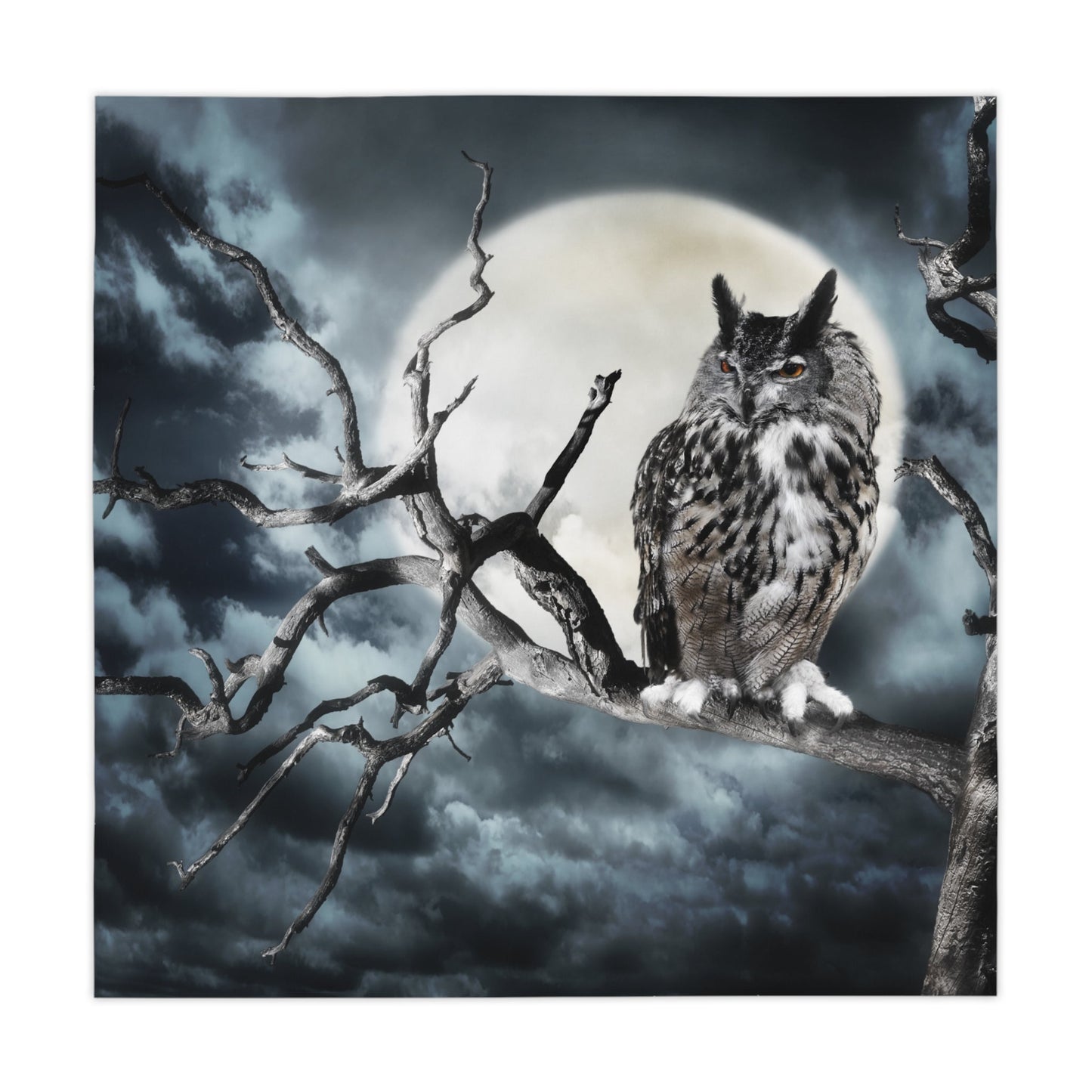 Night Owl Tablecloth-Shalav5
