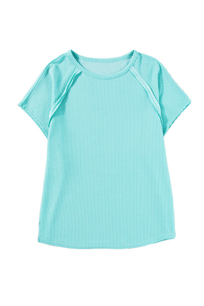 Light Blue Casual Ribbed Exposed Seam Plus Size T Shirt