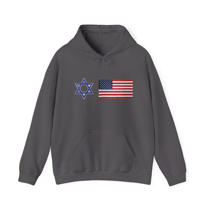 Allies Side by Side Unisex Heavy Blend™ Hooded Sweatshirt