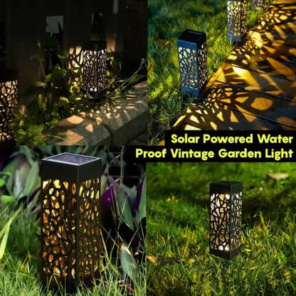 LED Solar Pathway Lights Lawn Lamp Outdoor Solar Lamp Decoration for Garden/Yard/Landscape/Patio/Driveway/Walkway Lighting-Shalav5