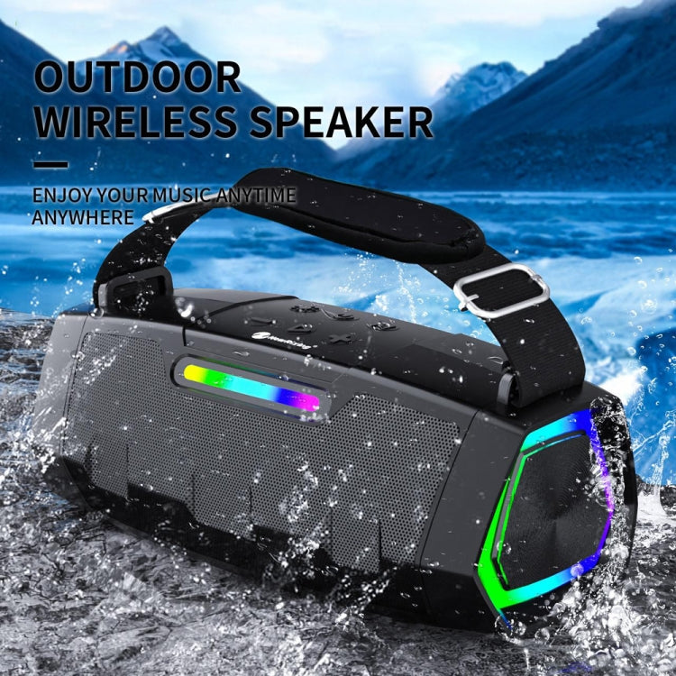 NewRixing NR2033 Portable TWS Wireless Bluetooth Speaker