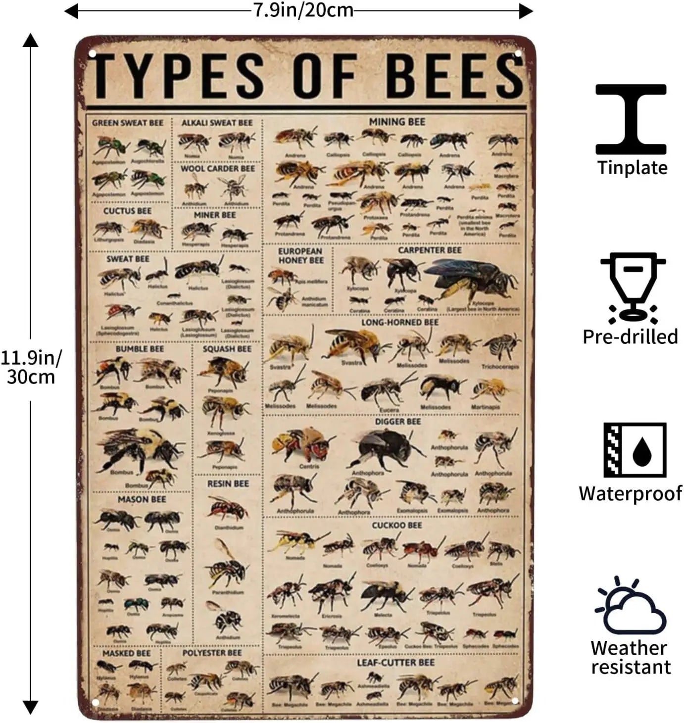 Types Of Bees Scientific Knowledge Retro Metal Sign Vintage Green Sweet Bee Signs Wall Decor Funny Ming Bee Cuctus Bee