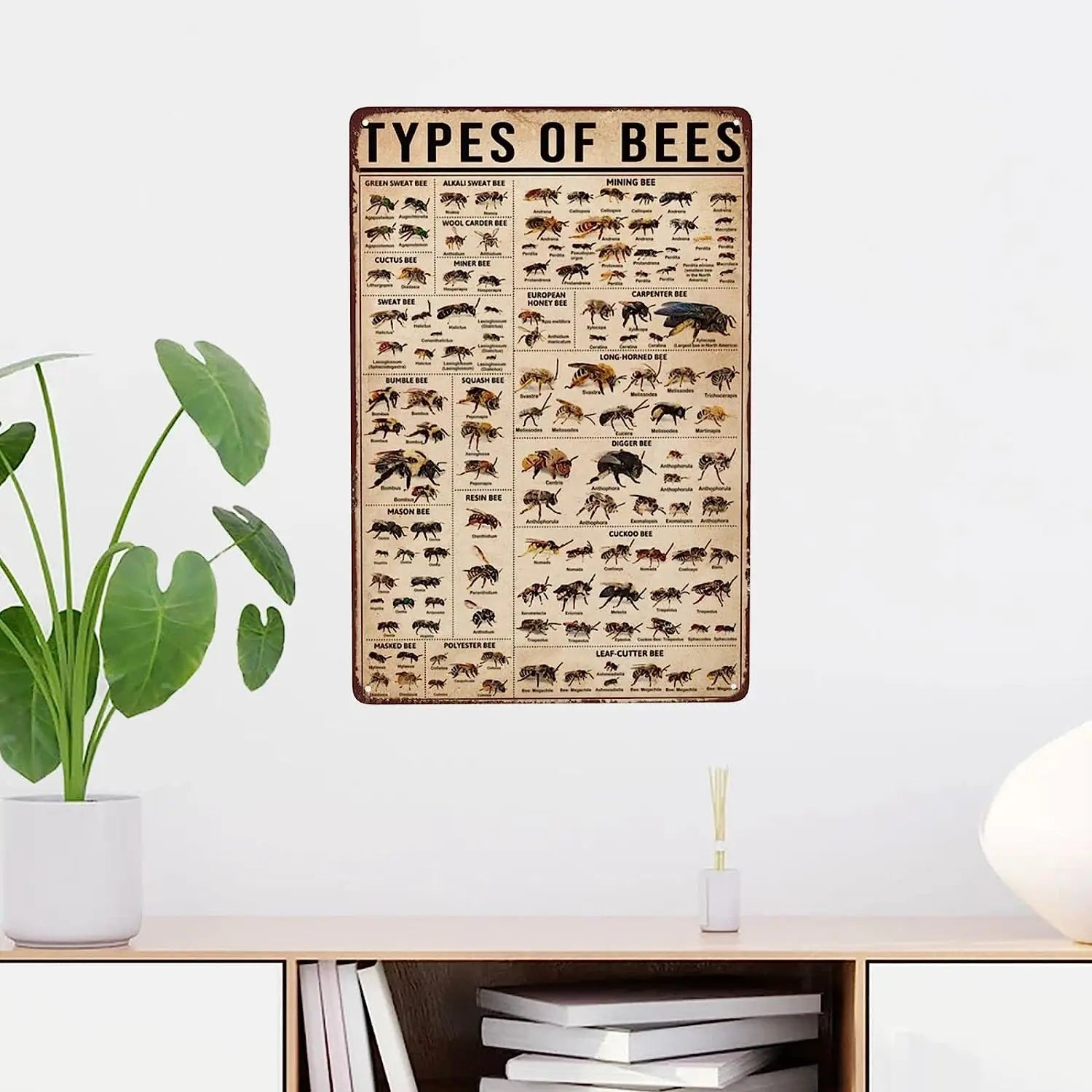 Types Of Bees Scientific Knowledge Retro Metal Sign Vintage Green Sweet Bee Signs Wall Decor Funny Ming Bee Cuctus Bee