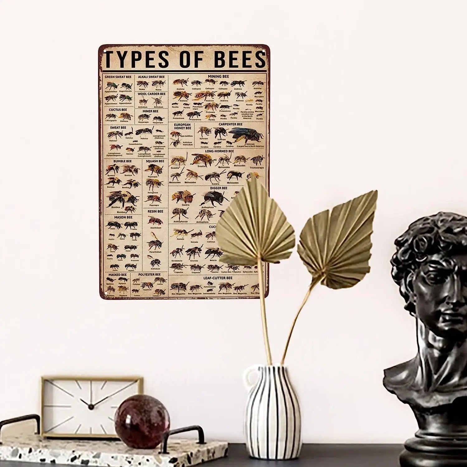 Types Of Bees Scientific Knowledge Retro Metal Sign Vintage Green Sweet Bee Signs Wall Decor Funny Ming Bee Cuctus Bee