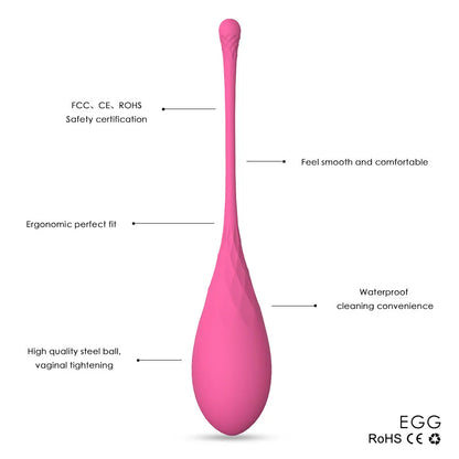 6pcs/set Smart Kegel Ball Vaginal Dumbbells Vibrator Egg
