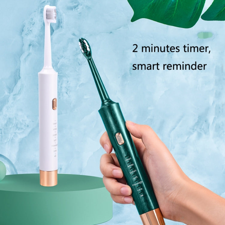 AW-175 Adult Household USB Sonic Electric Toothbrush Couple Toothbrush