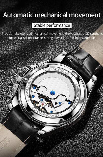 Men's Mechanical Watch Moon Phase Sapphire Multifunctional Automatic Watch Leather Bracelet Watch