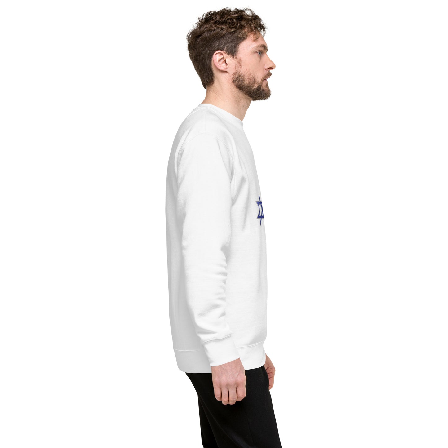 Allies Side By Side Unisex Premium Sweatshirt